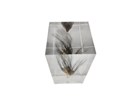 Lucite - vintage massief sculpture - ingesloten korenbloem -  Italie - 70's