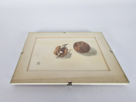 Aquarelles Madeleine den Fex - Holland - Amsterdam -  monogram - 3e kwart 20eeuw