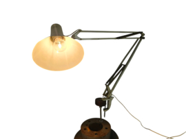 Philips - model NTD 36 - Louis Kalff - bureaulamp - architectenlamp - metaal - 1966