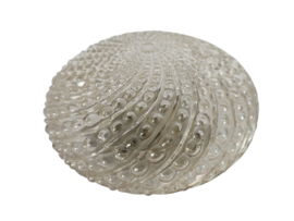 Massive - Plafond- Wandlamp - Sconce - Belgie - Mid-Century - 70's