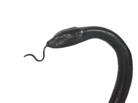 Edgar Brandt - brons - 'Cobra' horlogehouder - 1e helft 20e eeuw