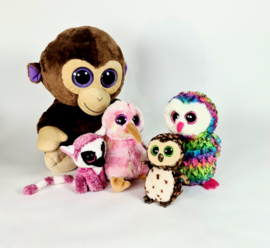 Ty Beany Boo -  collectors items - Coconut - Owen - Kiwi - Sammy  - Lee Ann (5)