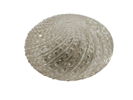 Massive - Plafond- Wandlamp - Sconce - Belgie - Mid-Century - 70's