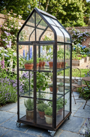 Smalle, hoge kweekkas / vitrinekas – Stoere vintage look