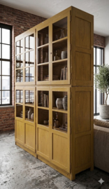 Geweldige oude Vitrinekast met industriële look