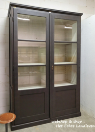 Vintage Industriële Vitrinekast / r 4590