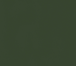 Krijtverf Zonnestraal Groen 0.75 liter, doos a 4 stuks