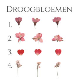 Bloemen 017