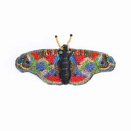 Broche 'Colourful Wings'
