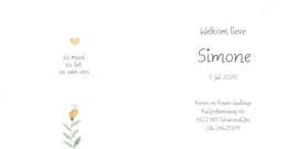 Bloemen 013