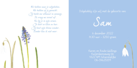Bloemen 002