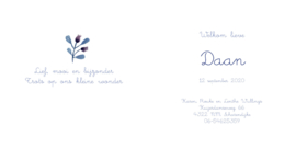 Bloemen 002