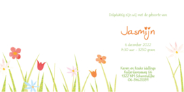 Bloemen 001
