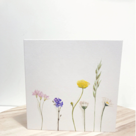 Veldbloemen - kunstkaarten - set 6 stuks