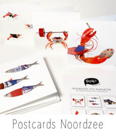 Postcards Noordzee vol karakter
