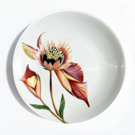 Botanical Wonders, set van 4 ontbijtborden