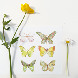 Vlinders, 5 x wenskaarten incl. enveloppen
