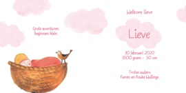 Lief 006
