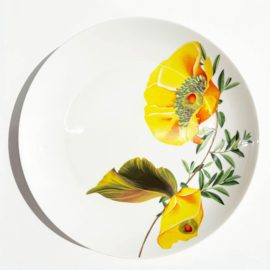 Botanical Wonders, set van 4 dinnerborden