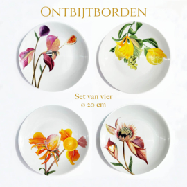 Botanical Wonders, set van 4 ontbijtborden