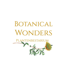 Botanical Wonders, set van 4 dinnerborden