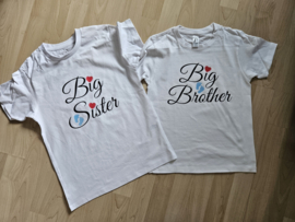 Big Sister / Big Brother