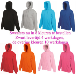 Trotse broer - sweater