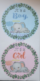 Geboortesticker Boy or Girl cirkel 45cm