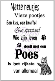 Natte neusjes Poes