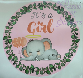 Geboortesticker Boy or Girl cirkel 45cm