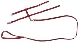Kattentuig met riem Rood