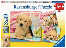 Ravensburger puzzel Schattige hondjes