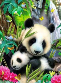 Lieve panda puzzel Ravensburger