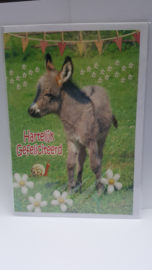 Kaart ezel verjaardagskaart