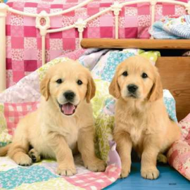 Ravensburger puzzel Schattige hondjes