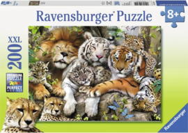 Ravensburger een dutje doen