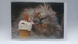 Kaart kat met ijsje