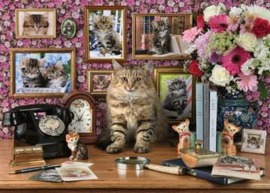 Ravensburger puzzel Mijn katjes - 1000 stukjes
