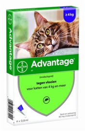 Advantage kat vanaf 4kg 4 piepeten