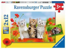 Ravensburger puzzel Katjes op ontdekkingsreis