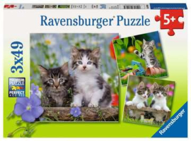 Ravensburger puzzel katten