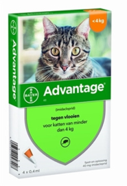 Advantage kat tot 4kg 4 piepeten