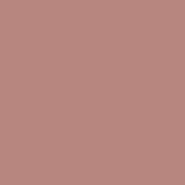 Velvet Eyeshadow nr. 48 MATT Toffee