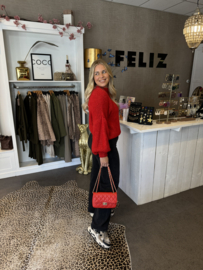 Loes sweater rood