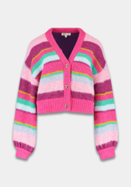 Harper & Yve vest Noor | Pink stripe