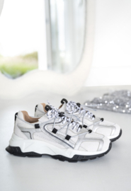 DWRS Label ISOLA | Grey / Silver
