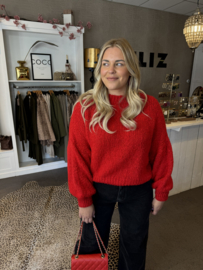 Loes sweater rood