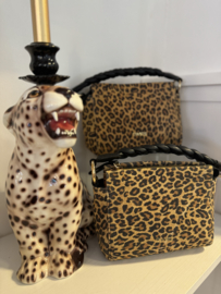 DWRS Label - Molise leopard