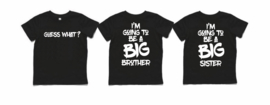 Big brother/ big sister
