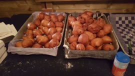 Oliebollen Kraam 2 uurtjes onbeperkt uitdelen.
